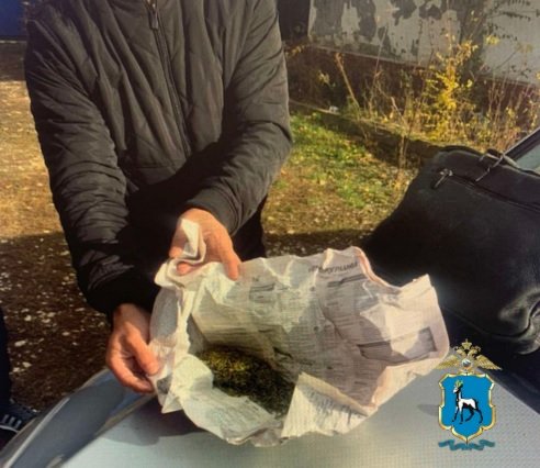 В Кинель-Черкасском районе полицейские задержали подозреваемого в хранении наркотикосодержащих растений